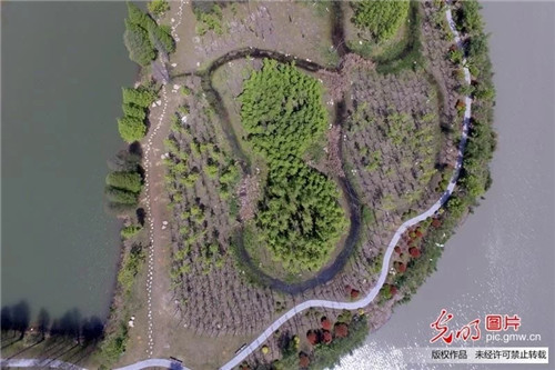 江蘇揚州古運河畔“長”出生態公園