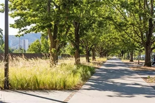 國外街道景觀改造,為何如何讓人津津樂道?