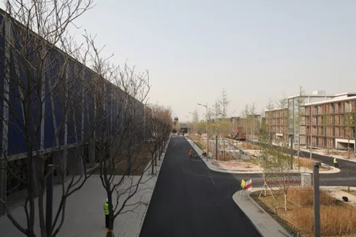 雄安市民服務中心辦公樓掛牌 設計大師打造