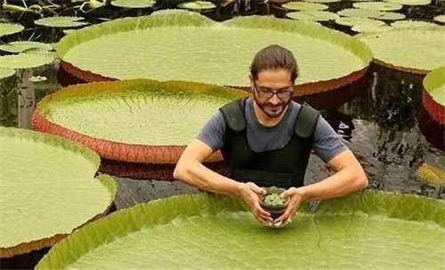 村民為了方便洗衣服差點(diǎn)沒絕了珍貴植物