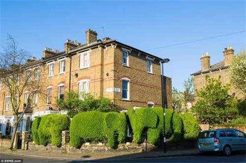 園丁把城市樹籬變成了“動物世界”