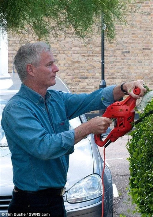 園丁把城市樹籬變成了“動物世界”