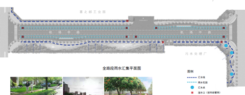 劉怡:城市雙修中“見縫插針”式的生態修復