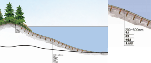 劉怡:城市雙修中“見縫插針”式的生態修復