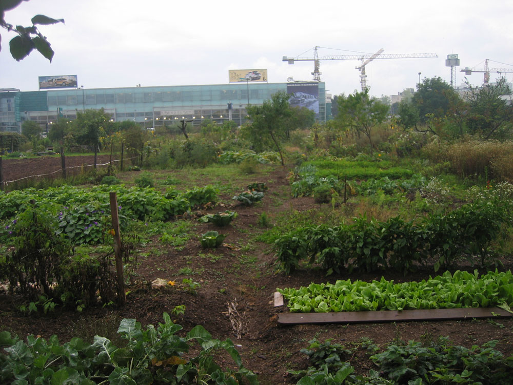 ?martinski公園兒童游樂場