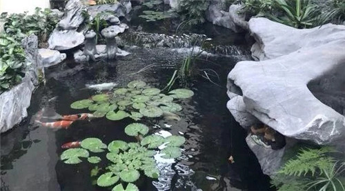 庭院設計水景有什么優點?