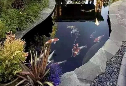 庭院設計水景有什么優點?