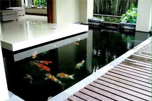 庭院設計水景有什么優點?