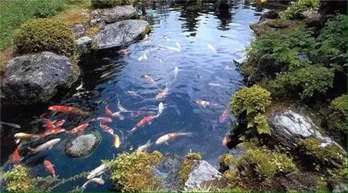 庭院設計水景有什么優點?