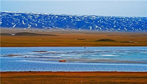 新疆托里縣濕地大草原美景如畫