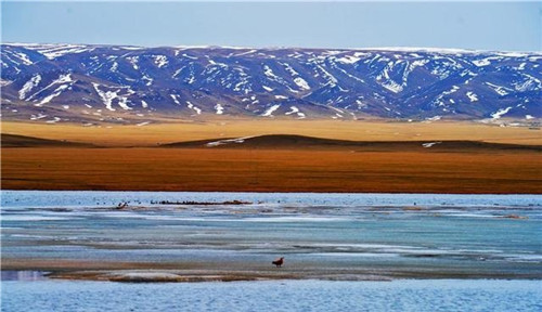 新疆托里縣濕地大草原美景如畫
