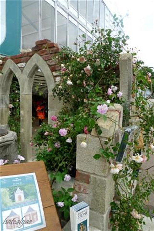 石頭“玫瑰花園”,深深打動(dòng)了我!