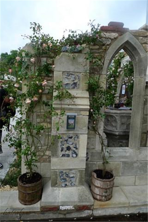 石頭“玫瑰花園”,深深打動(dòng)了我!