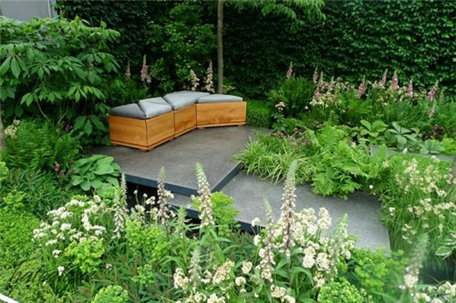 石頭“玫瑰花園”,深深打動(dòng)了我!