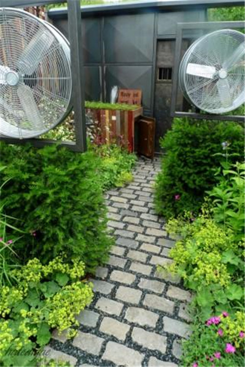 石頭“玫瑰花園”,深深打動(dòng)了我!