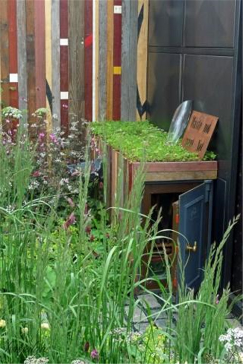 石頭“玫瑰花園”,深深打動(dòng)了我!