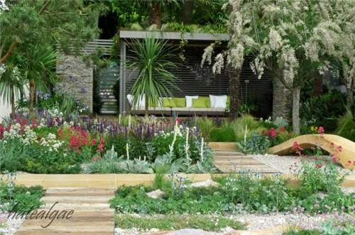 石頭“玫瑰花園”,深深打動(dòng)了我!