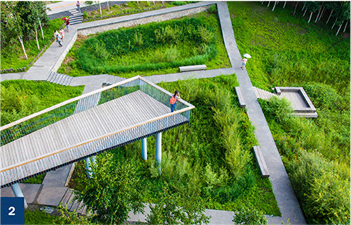 古老智慧復興中的綠色基礎設施