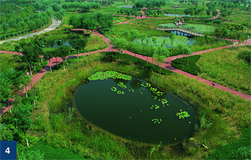 古老智慧復興中的綠色基礎設施