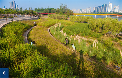 古老智慧復興中的綠色基礎設施