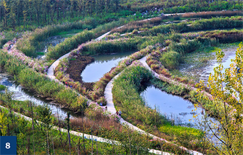 古老智慧復興中的綠色基礎設施