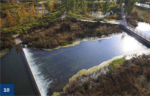 古老智慧復興中的綠色基礎設施