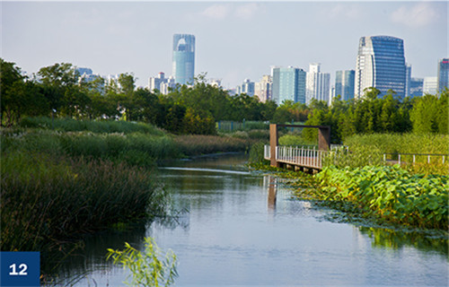 古老智慧復興中的綠色基礎設施