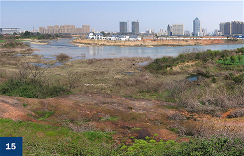 古老智慧復興中的綠色基礎設施