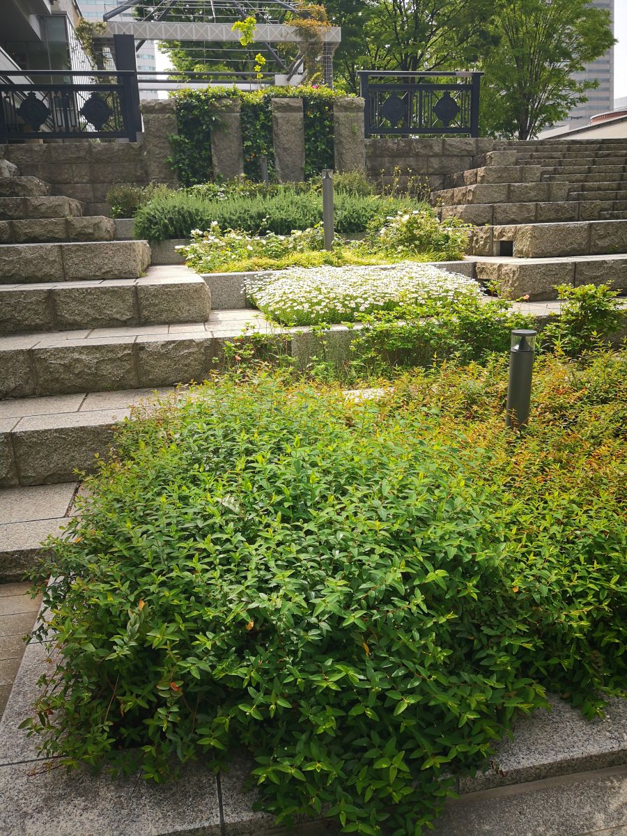 感受日本現代景觀和知名建筑 對話禪僧大師枡野俊明