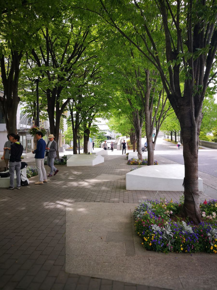 感受日本現代景觀和知名建筑 對話禪僧大師枡野俊明