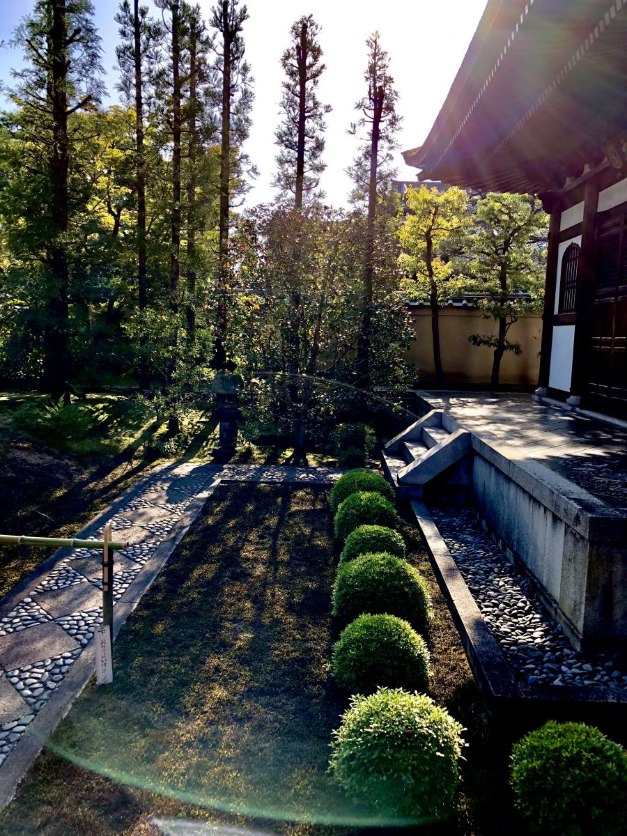 領略日本傳統庭院 考察京都最美河流