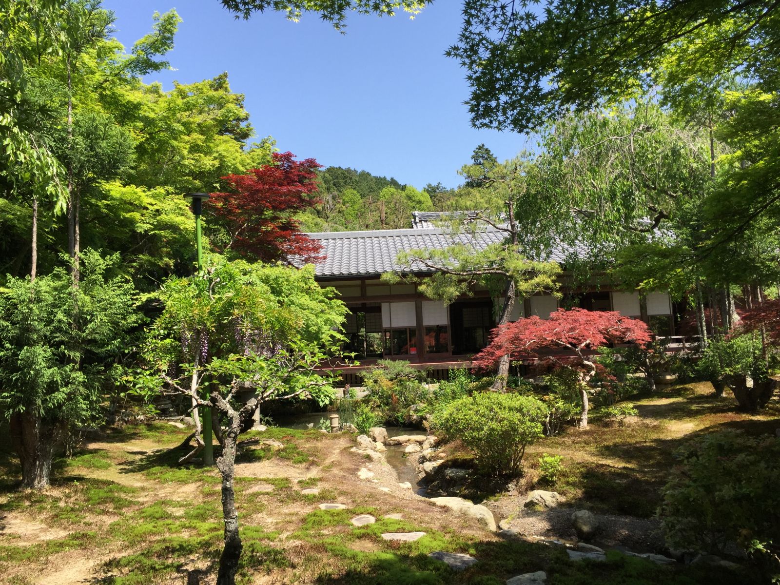 領略日本傳統庭院 考察京都最美河流