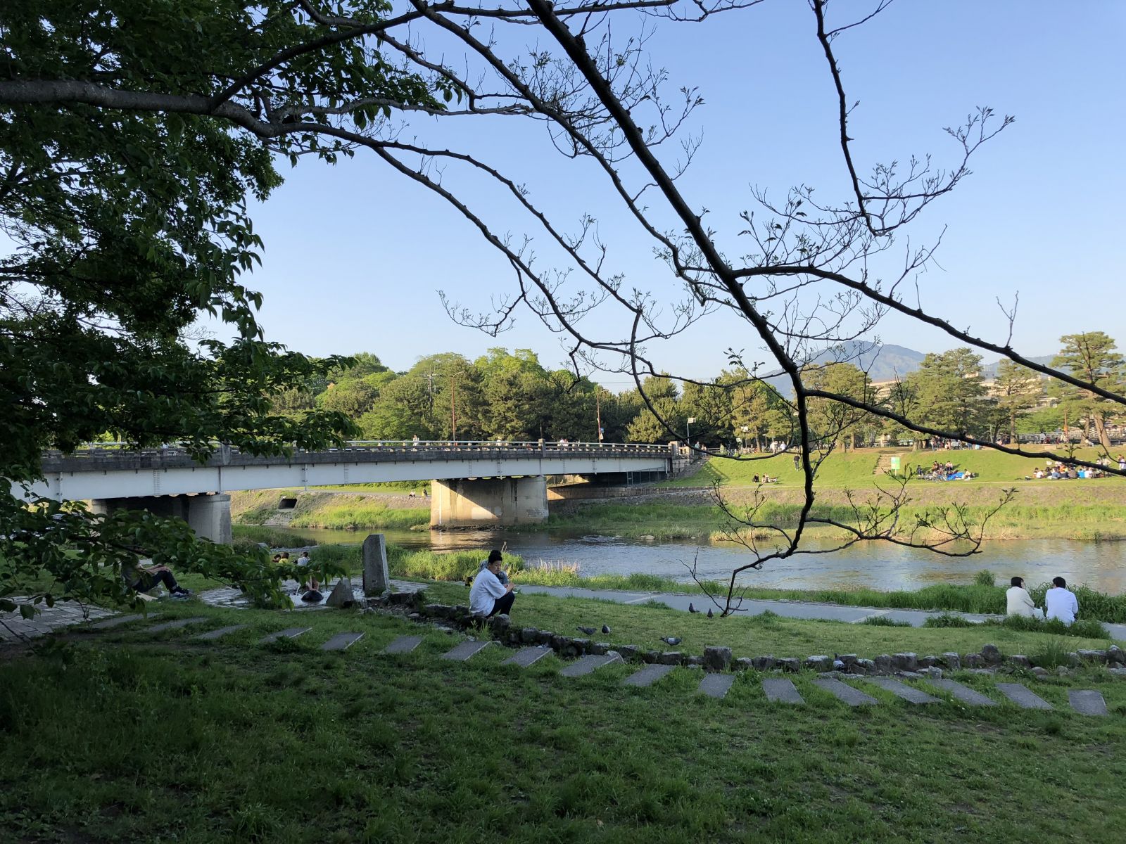 領略日本傳統庭院 考察京都最美河流