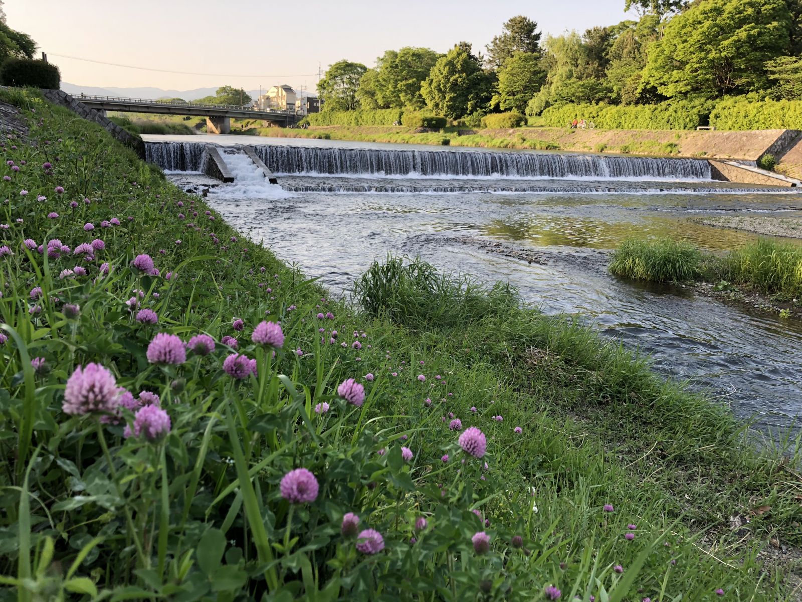領略日本傳統庭院 考察京都最美河流