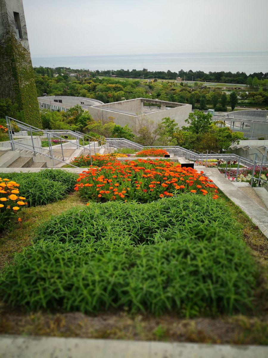 參觀大師安藤忠雄作品 考察大阪住宅與商業(yè)建筑