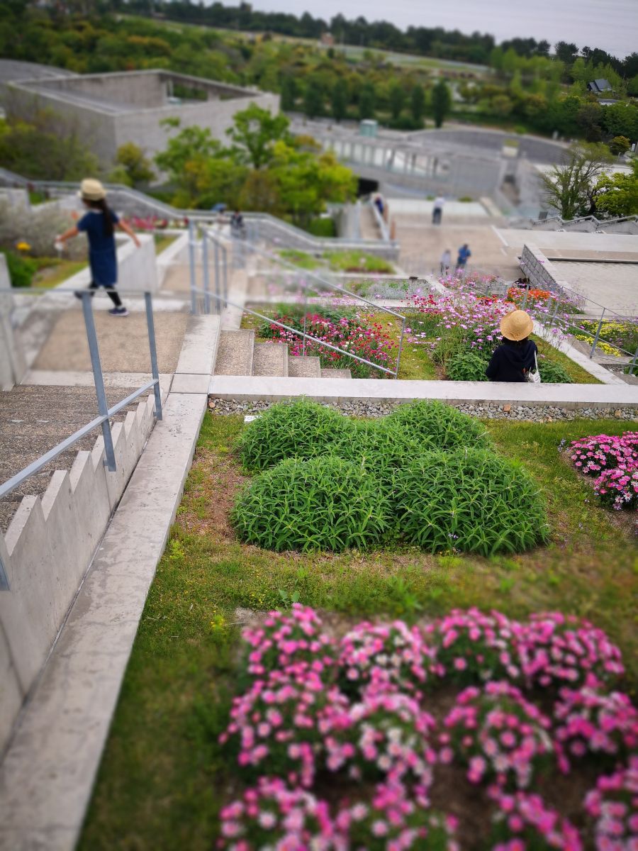 參觀大師安藤忠雄作品 考察大阪住宅與商業(yè)建筑