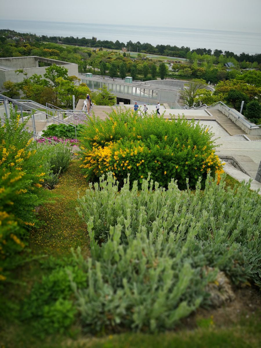 參觀大師安藤忠雄作品 考察大阪住宅與商業(yè)建筑