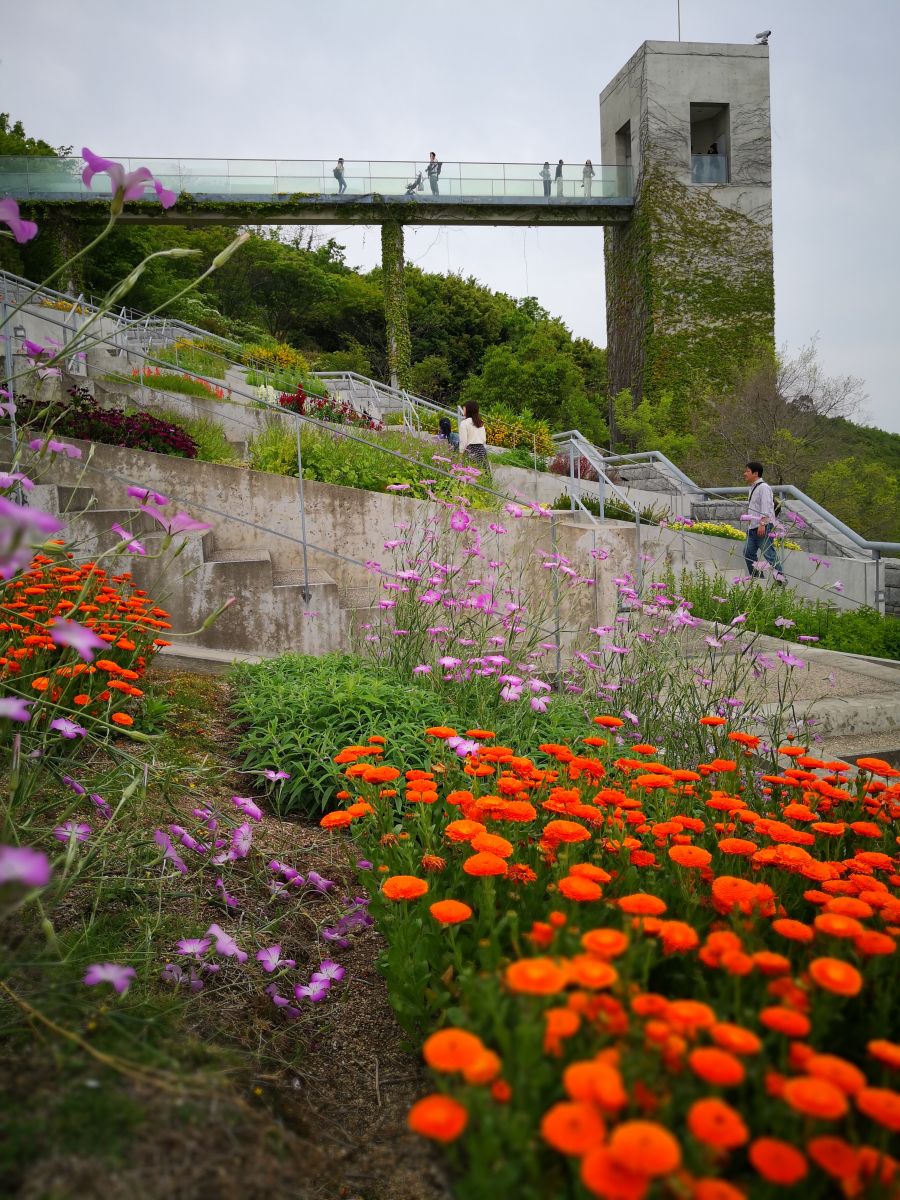 參觀大師安藤忠雄作品 考察大阪住宅與商業(yè)建筑