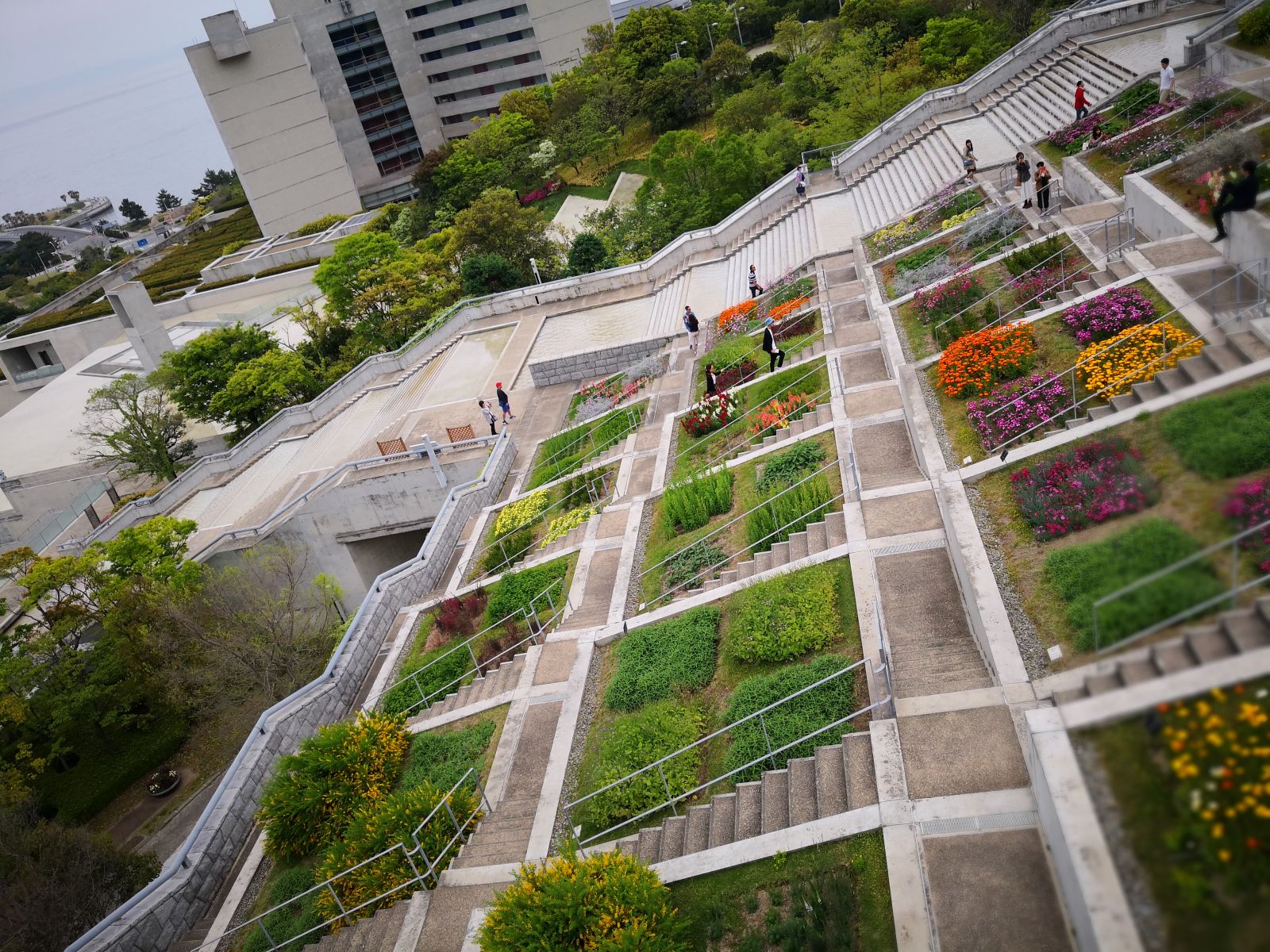 參觀大師安藤忠雄作品 考察大阪住宅與商業(yè)建筑