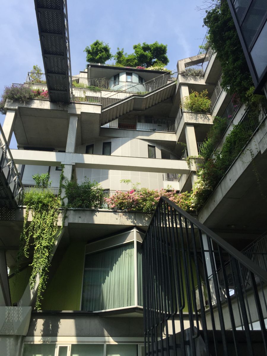 參觀大師安藤忠雄作品 考察大阪住宅與商業(yè)建筑