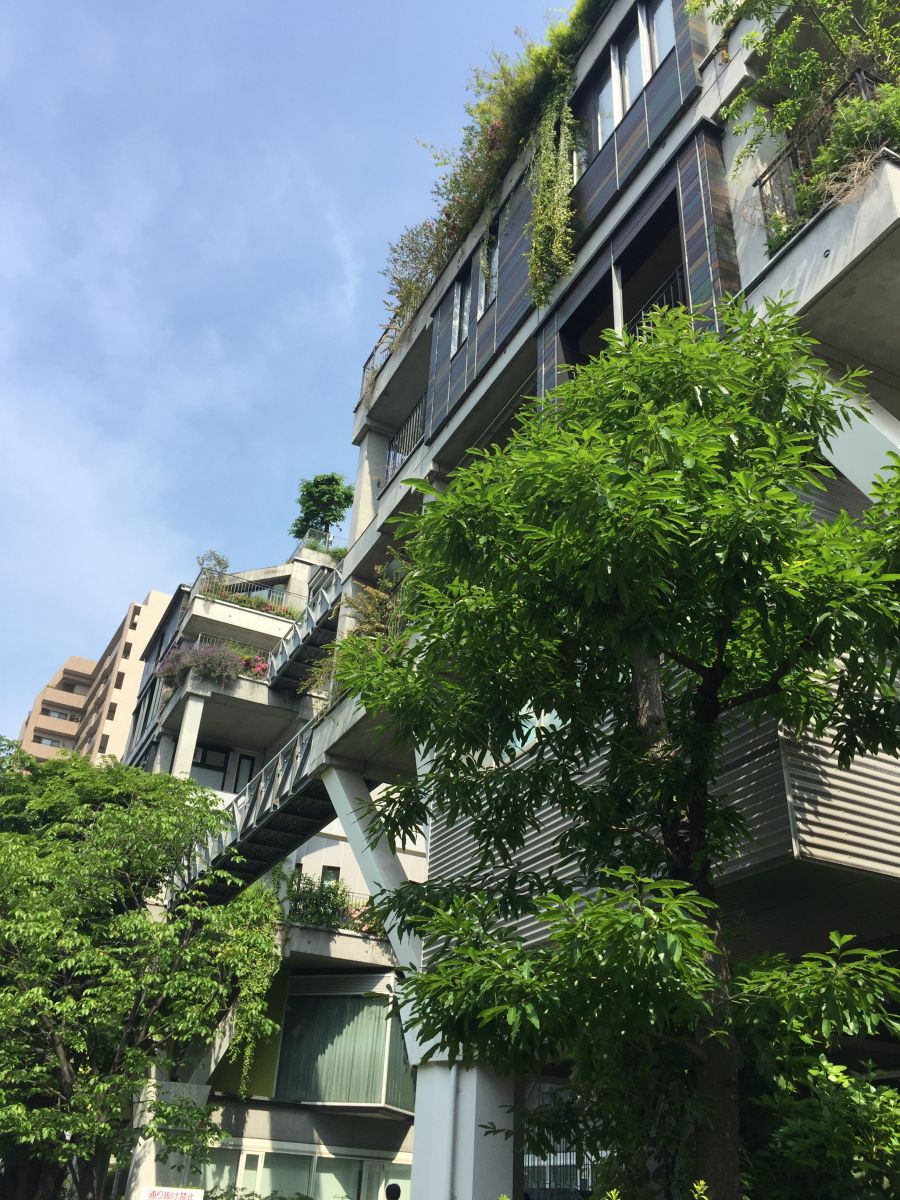 參觀大師安藤忠雄作品 考察大阪住宅與商業(yè)建筑