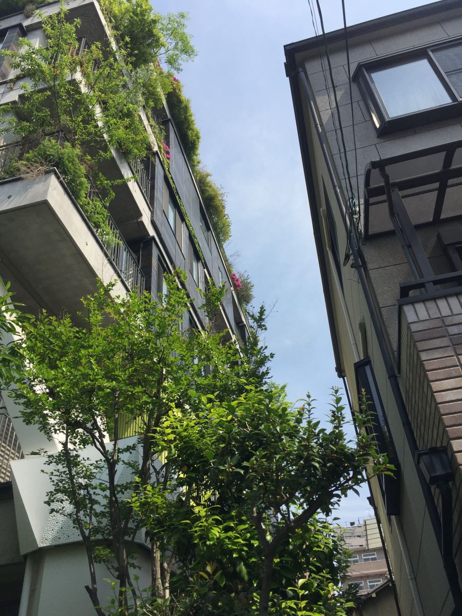 參觀大師安藤忠雄作品 考察大阪住宅與商業(yè)建筑