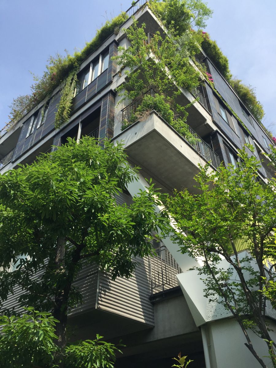 參觀大師安藤忠雄作品 考察大阪住宅與商業(yè)建筑