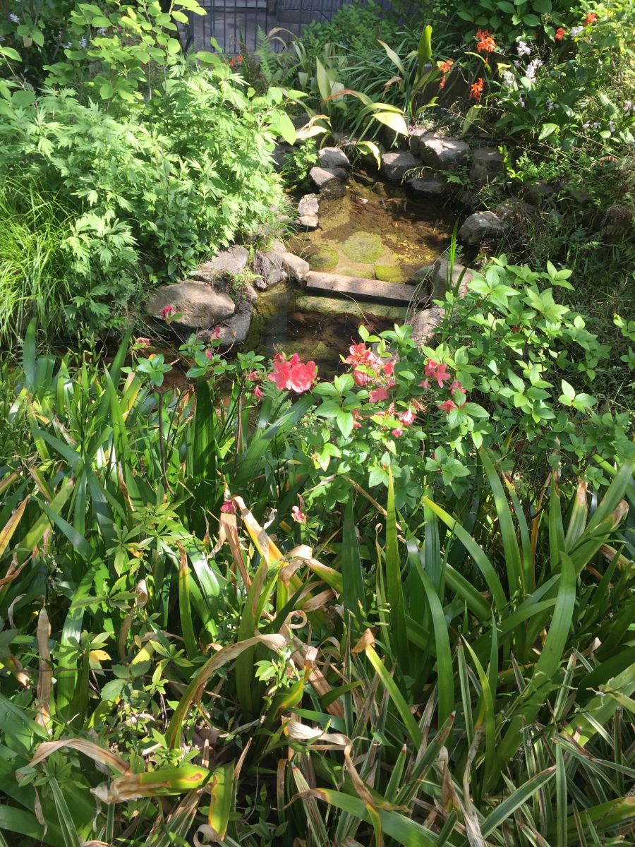 參觀大師安藤忠雄作品 考察大阪住宅與商業(yè)建筑