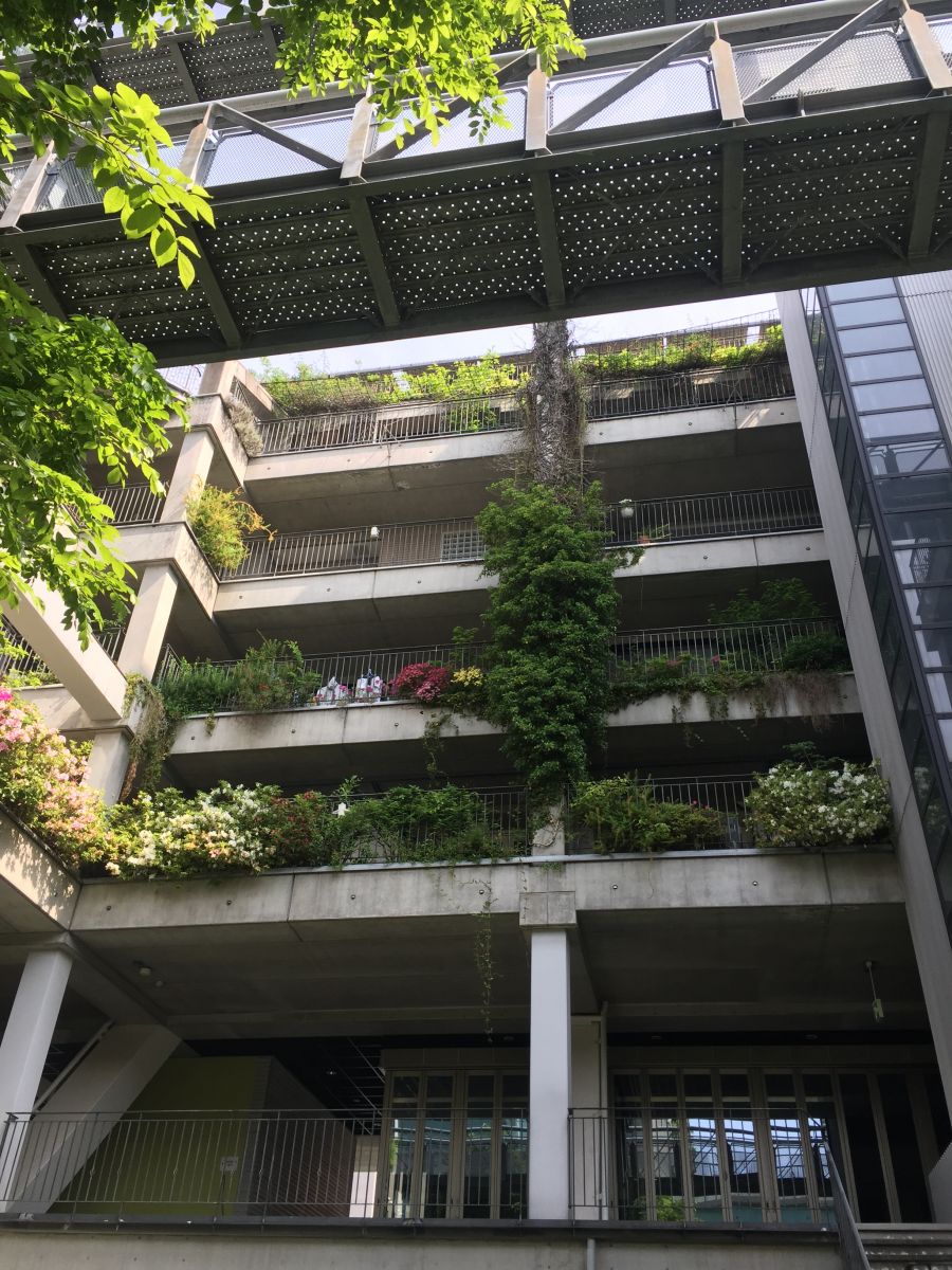 參觀大師安藤忠雄作品 考察大阪住宅與商業(yè)建筑