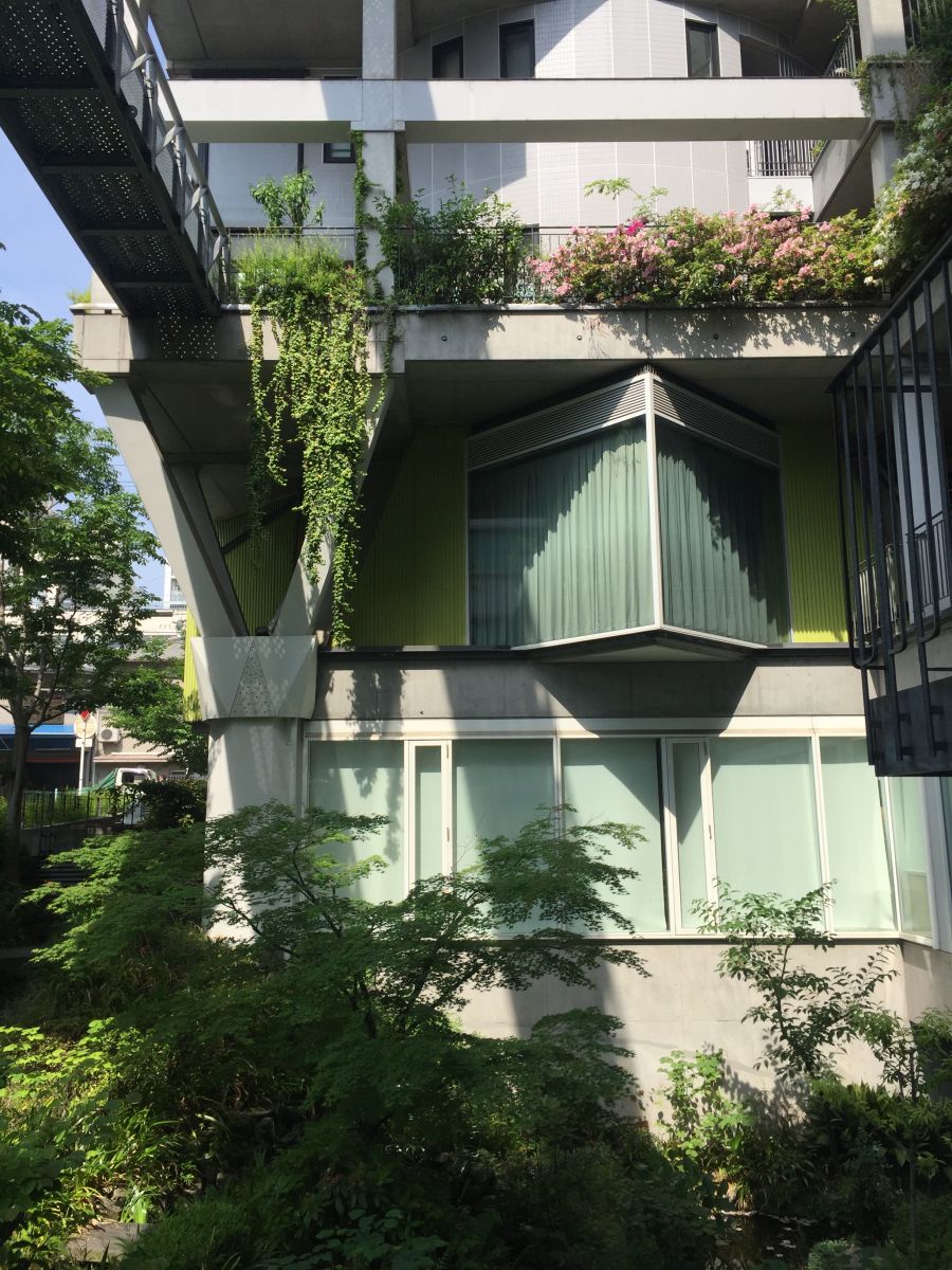 參觀大師安藤忠雄作品 考察大阪住宅與商業(yè)建筑
