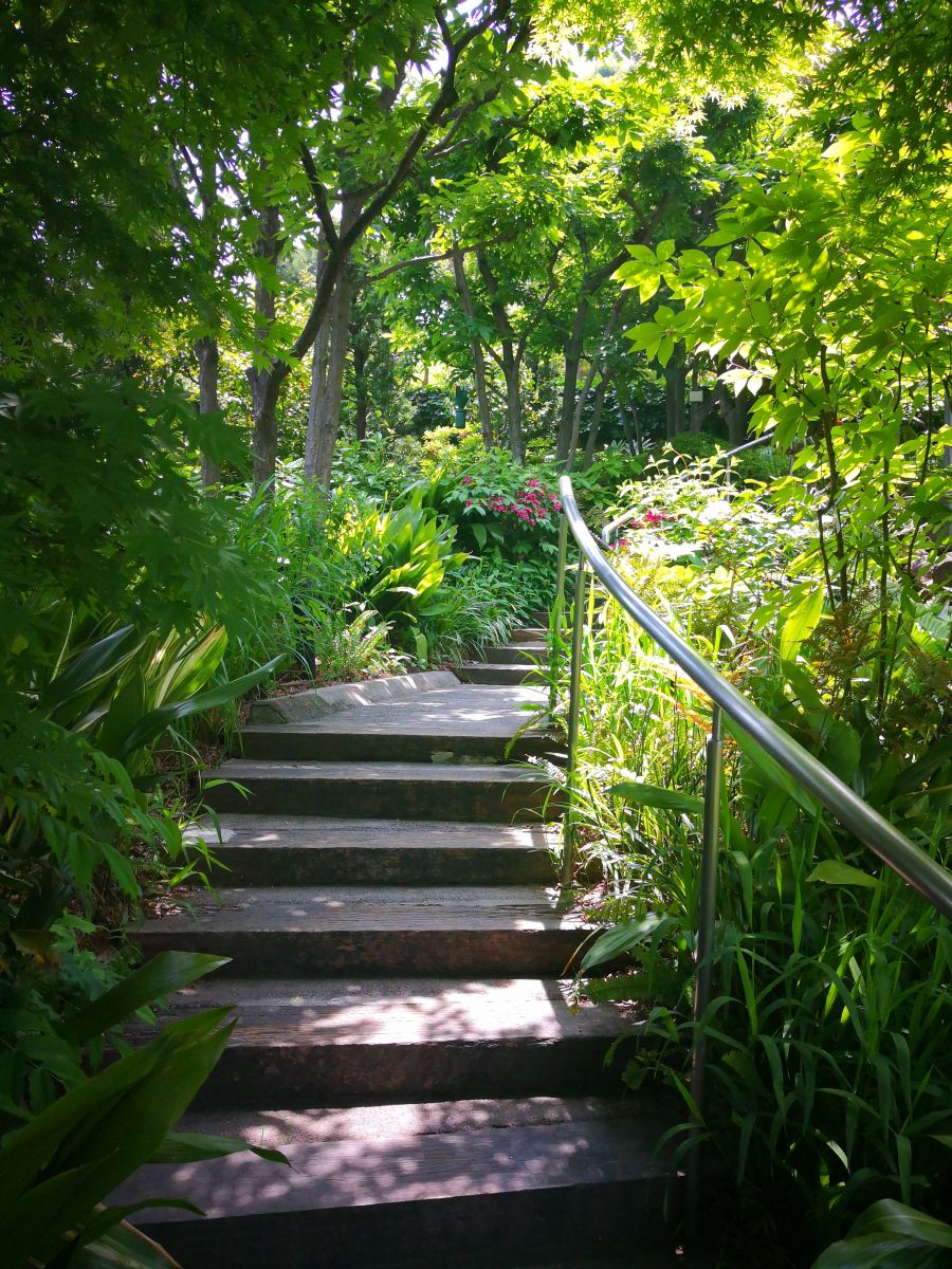 參觀大師安藤忠雄作品 考察大阪住宅與商業(yè)建筑