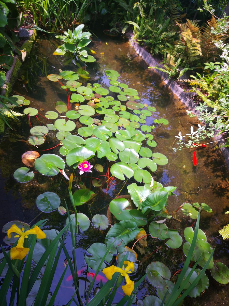 參觀大師安藤忠雄作品 考察大阪住宅與商業(yè)建筑