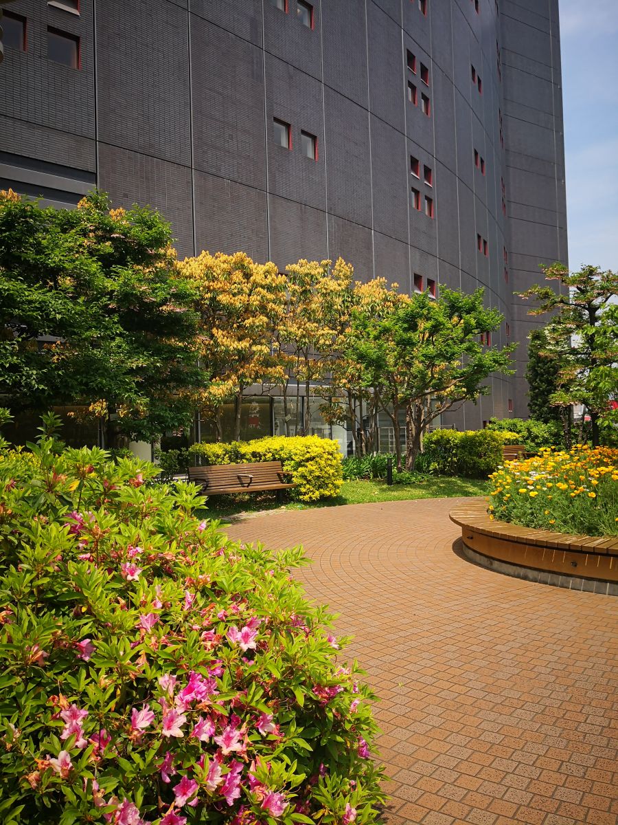 參觀大師安藤忠雄作品 考察大阪住宅與商業(yè)建筑