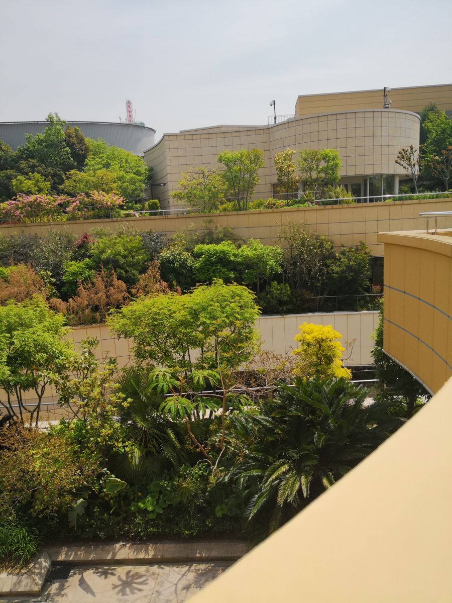 參觀大師安藤忠雄作品 考察大阪住宅與商業(yè)建筑